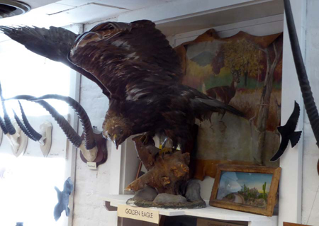 xx_04-redcandidate_akin16