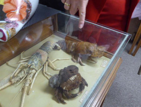 xx_05clsup-redcandi#17FCB7E